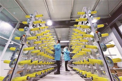 加速生物基材料技術研發與產業化，引領綠色新材料革命